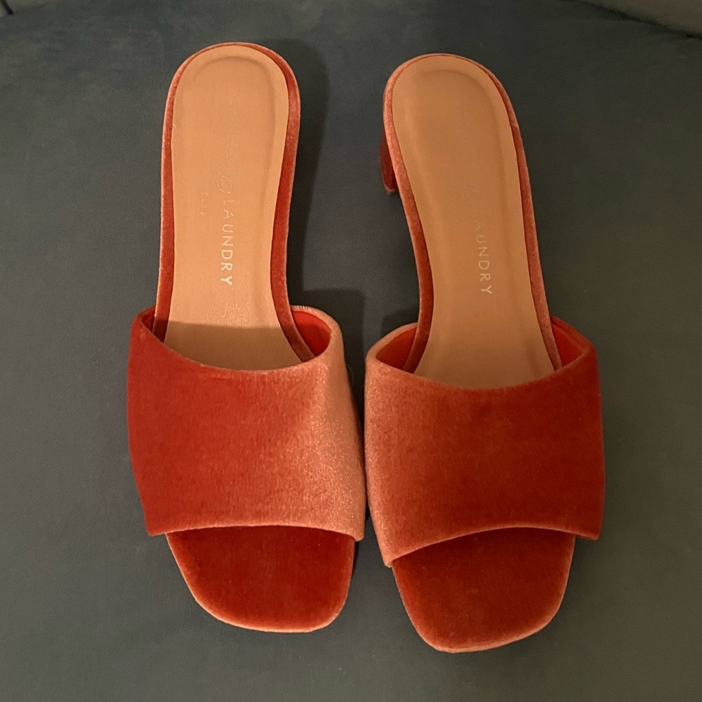 New Chinese Laundry Slides